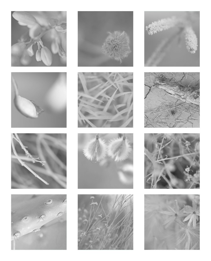 collage scottsdale textures3 - med res