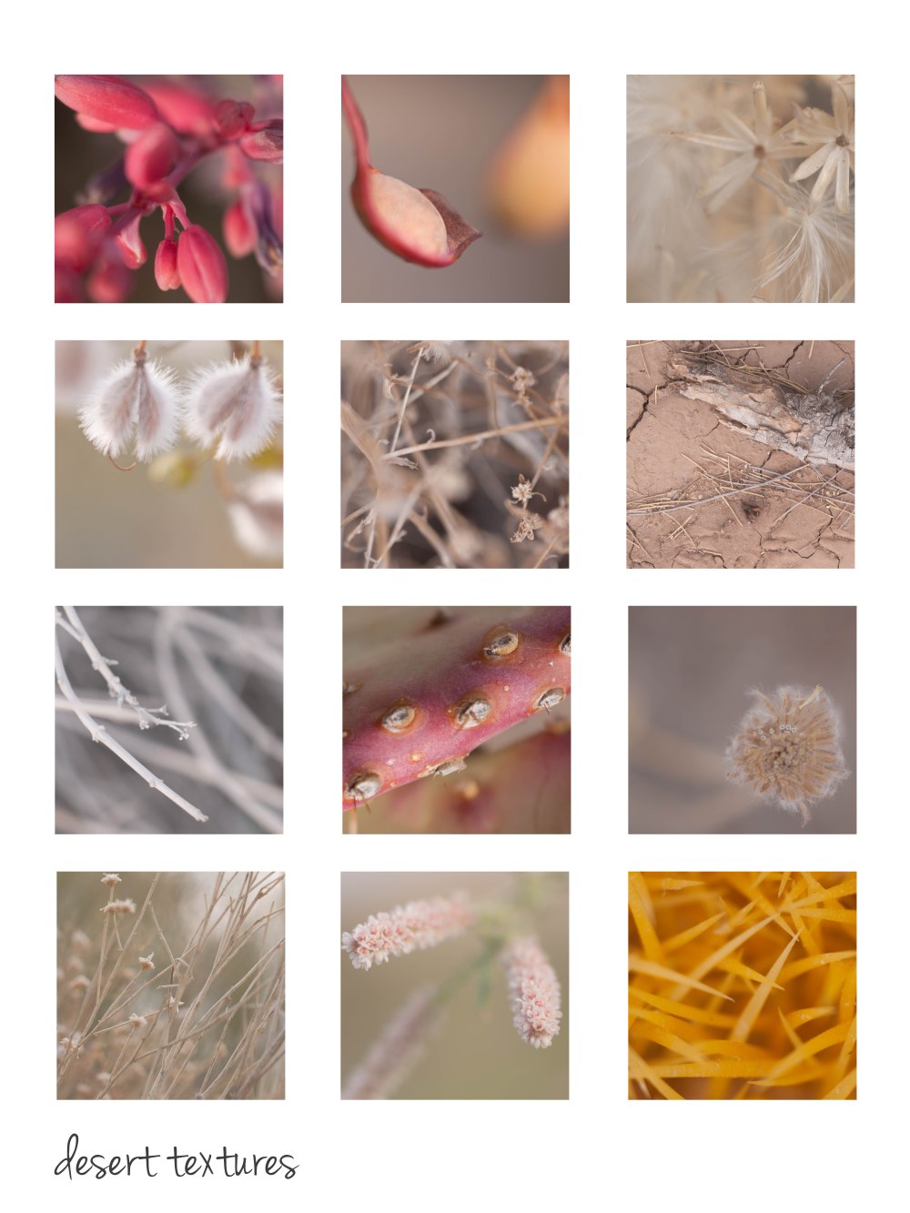 deserttextures-colour