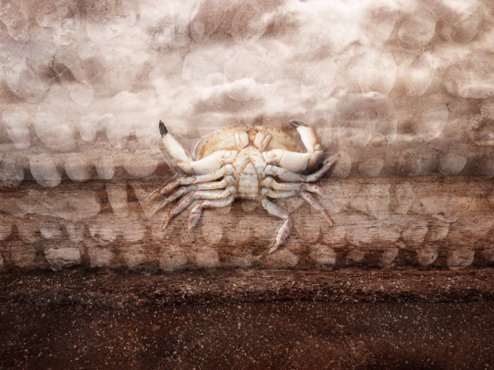 beach days - Sidmouth #3