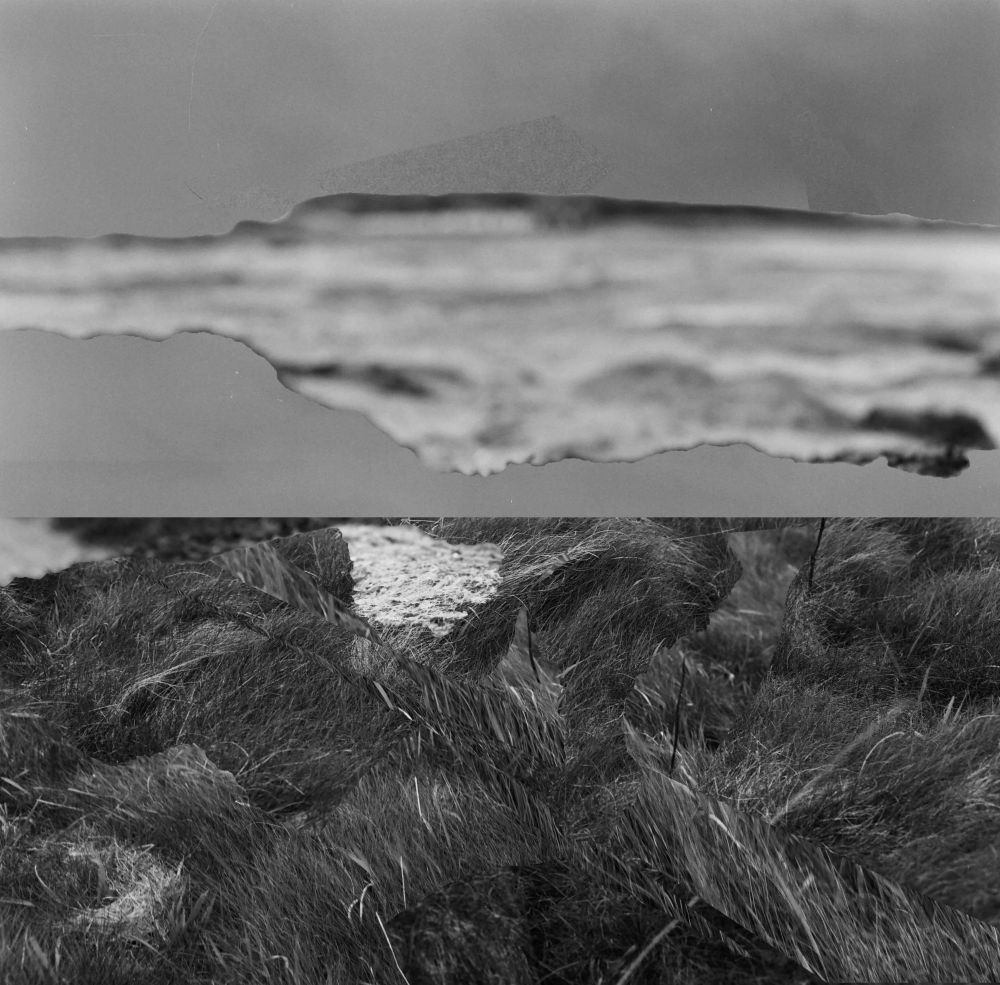 Haiku of grass and sky2